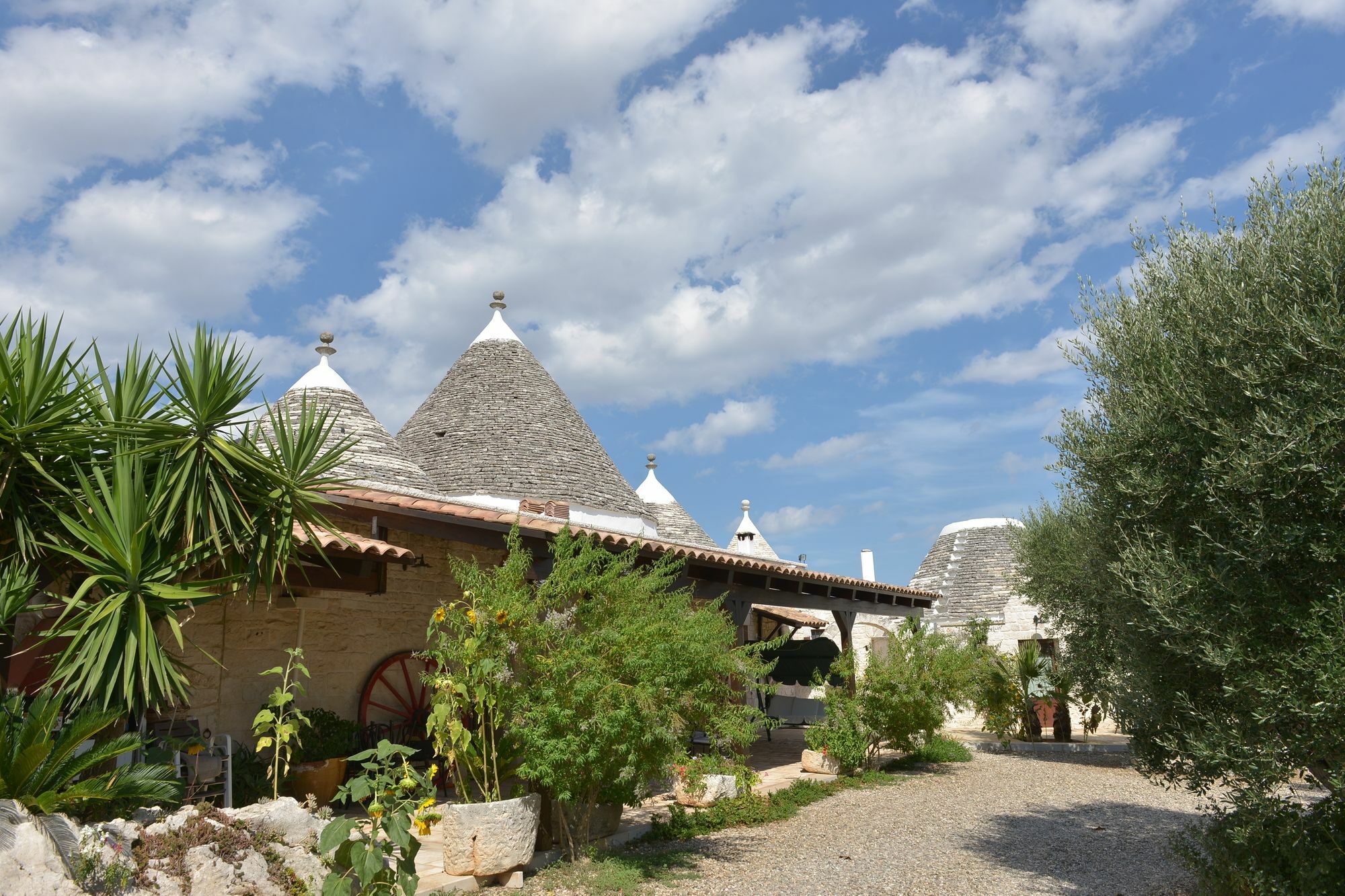 Masseria Pentima Vetrana Resort Alberobello Ngoại thất bức ảnh
