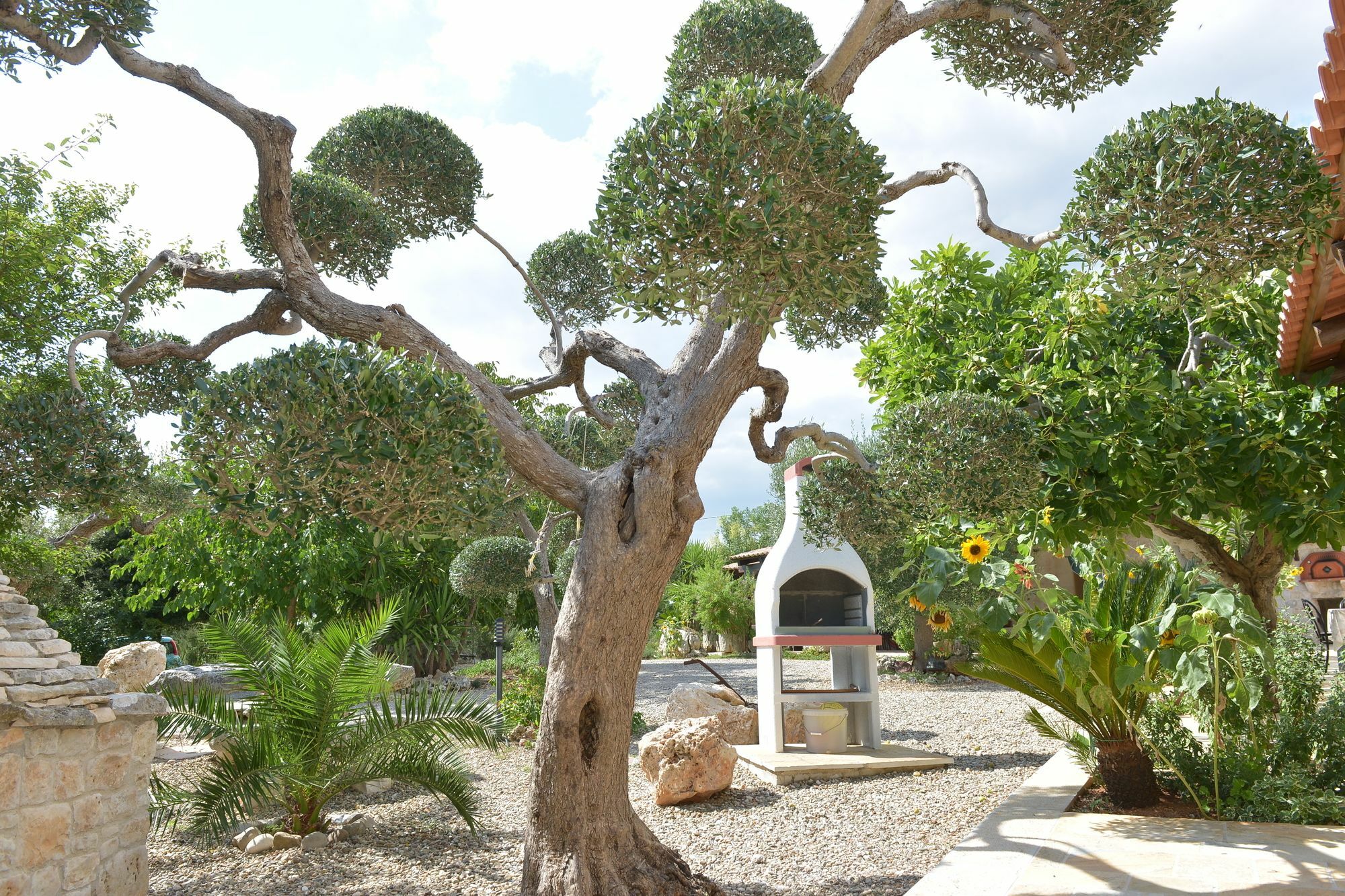 Masseria Pentima Vetrana Resort Alberobello Ngoại thất bức ảnh