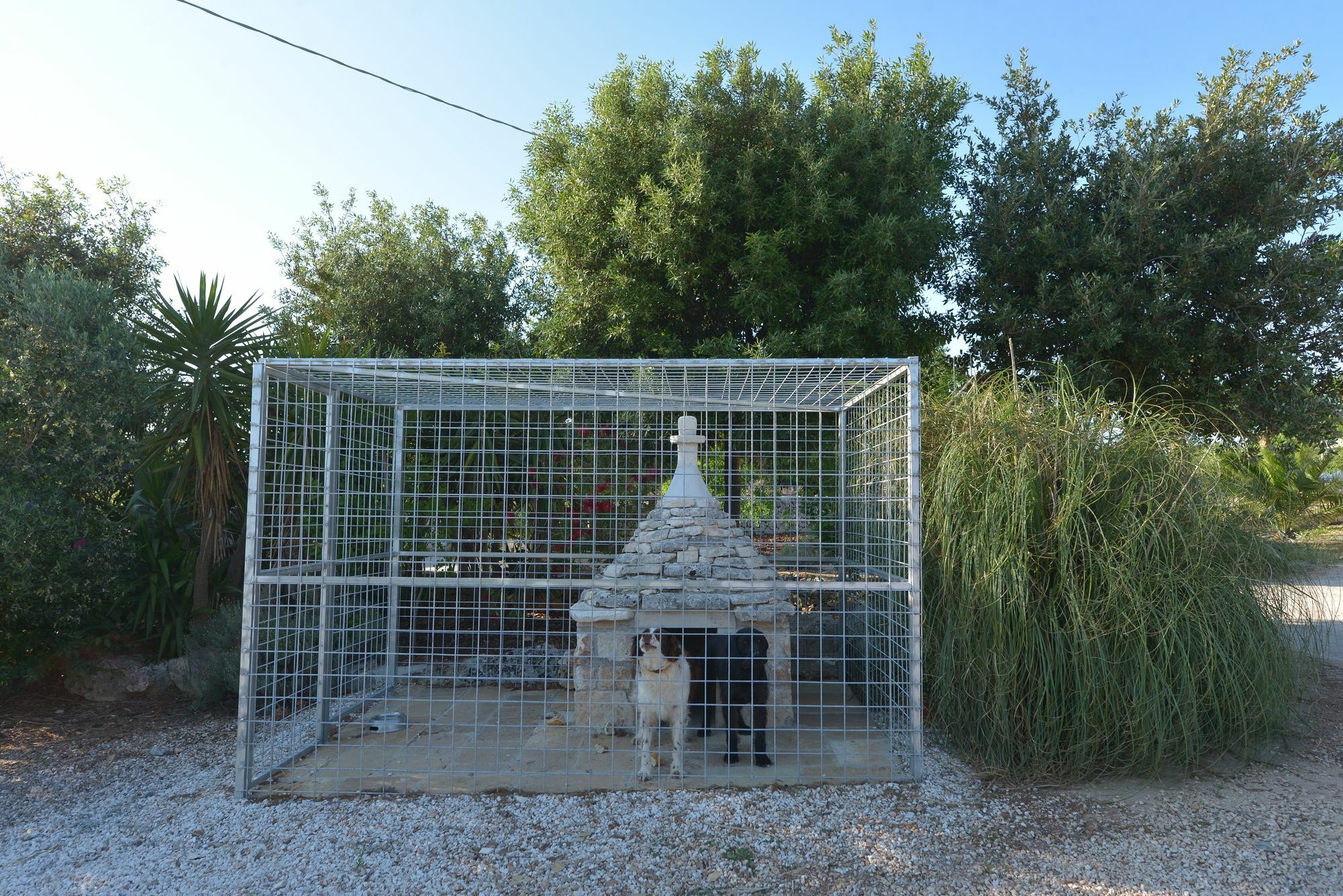 Masseria Pentima Vetrana Resort Alberobello Ngoại thất bức ảnh